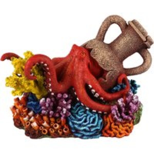 Aqua D'ella Amfoor Koraal 3 15,5x10,5x9,9cm