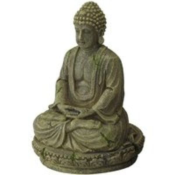 Aqua D'ella Bayon Buddha Buddha 1