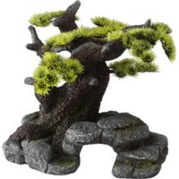 Aqua D'ella Bonsai boom op rots ML