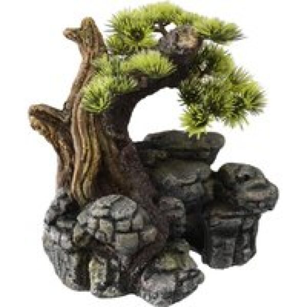 Aqua D'ella Bonsai boom op rots SM