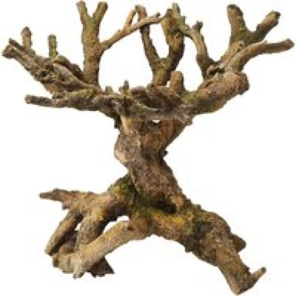 Aqua D'ella Bonsai bruin