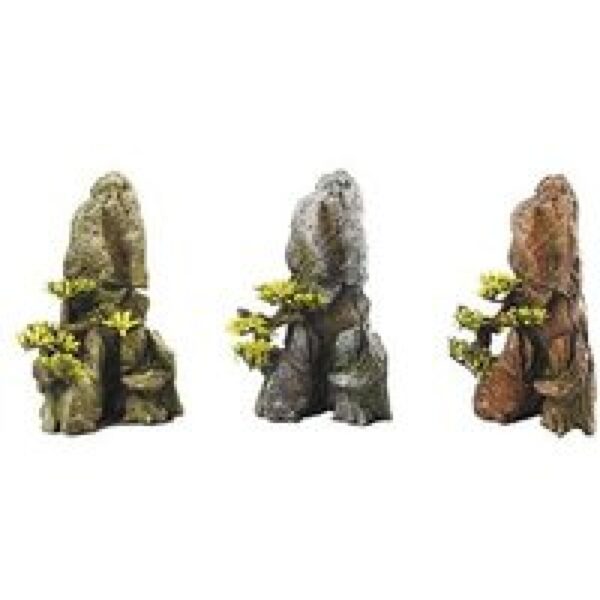 Aqua D'ella Bonsaislate Assorti