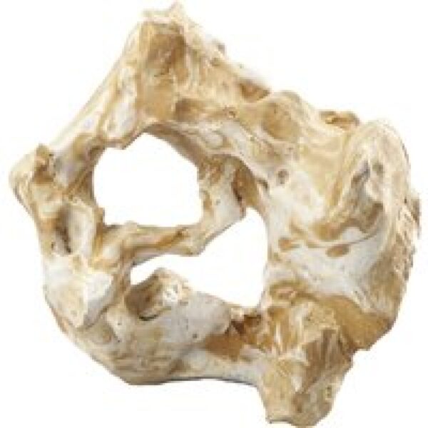 Aqua D'ella Combo Fellas L