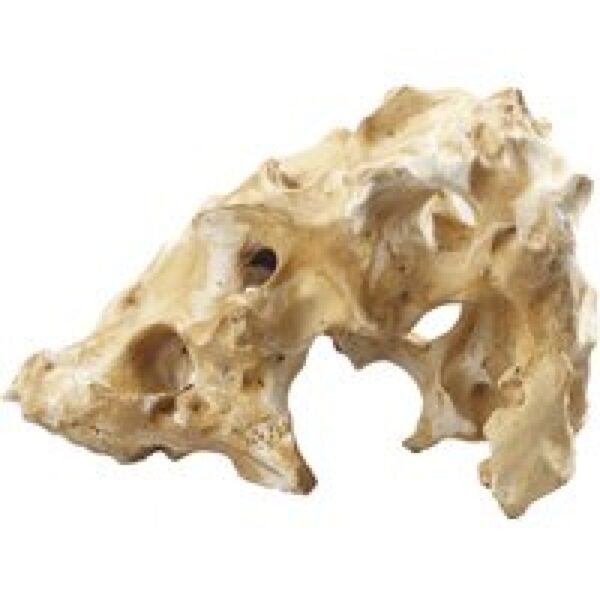 Aqua D'ella Combo Fellas XL