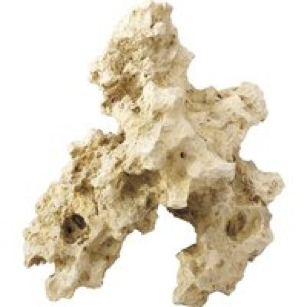 Aqua D'ella Combo Sea XL