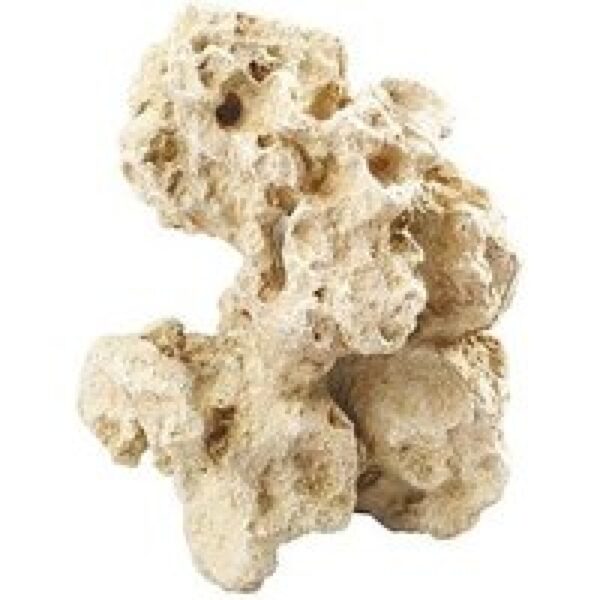 Aqua D'ella Combo moon M