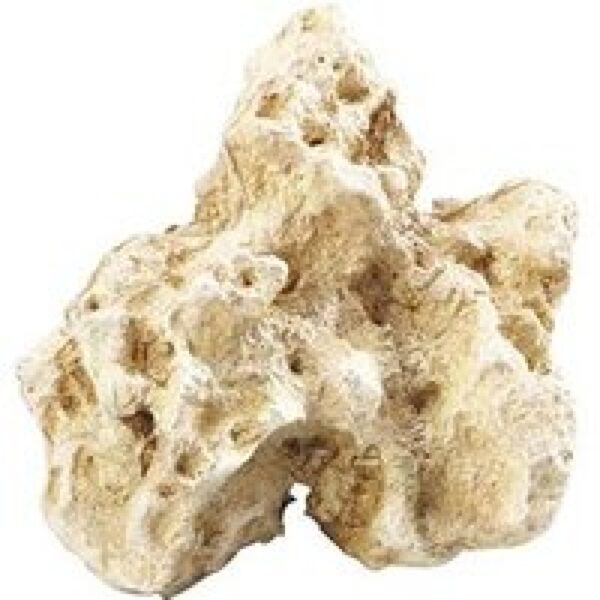 Aqua D'ella Combo moon S