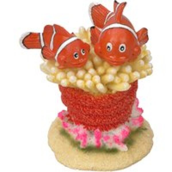 Aqua D'ella Familie Nemo