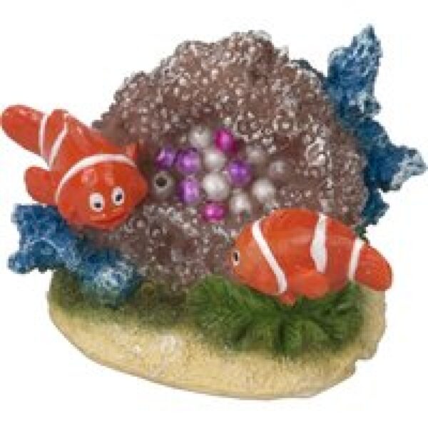 Aqua D'ella Finding Nemo