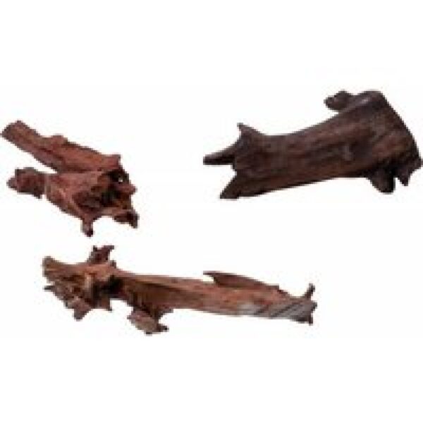 Aqua D'ella Jati hout Small