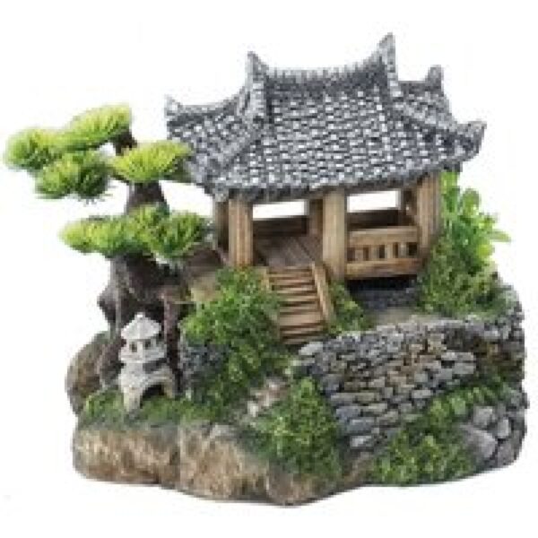 Aqua D'ella Koreaanse hut