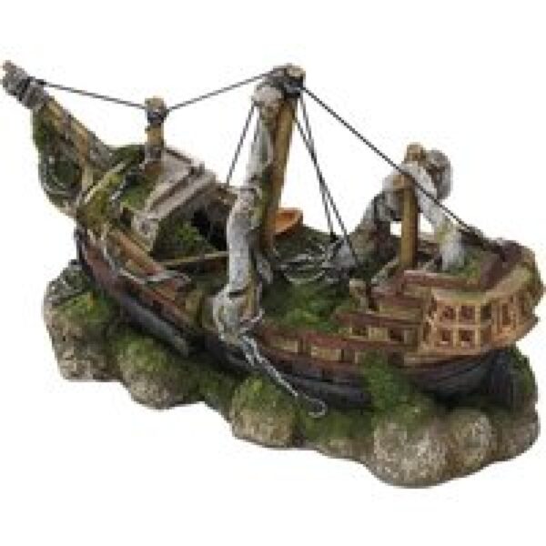 Aqua D'ella Mast Schip Medium