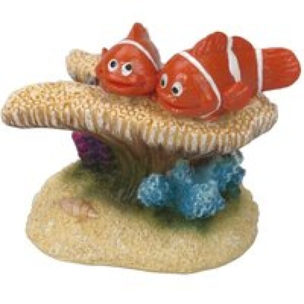 Aqua D'ella Nemo koraal