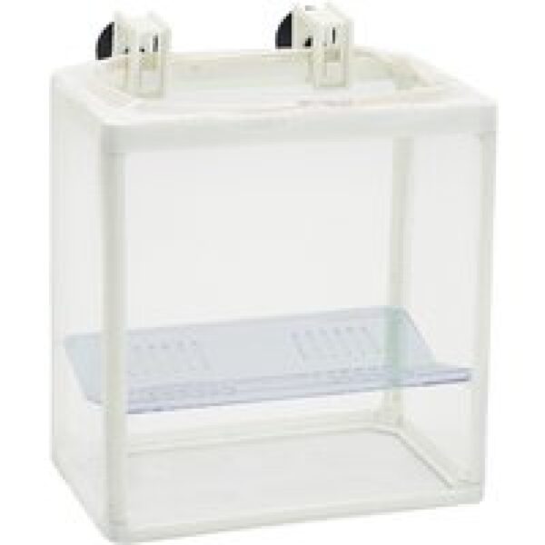 Aqua D'ella Netbreeder