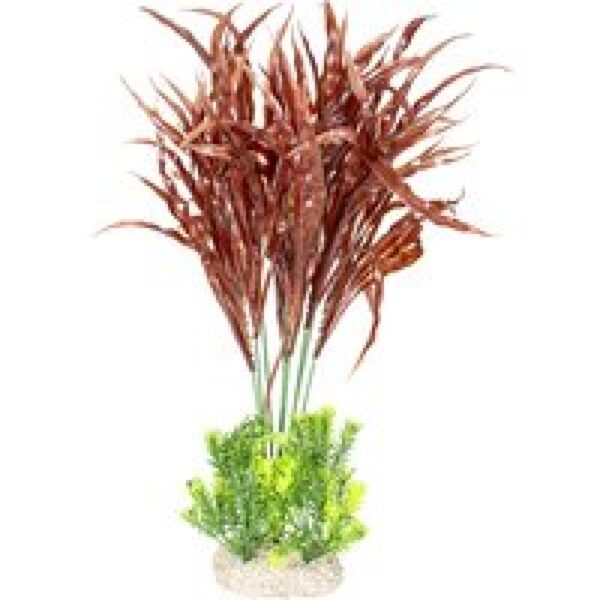 Aqua D'ella Plant Java Fern XL - Hoogte 45CM