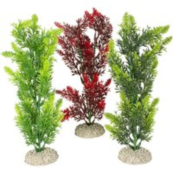 Aqua D'ella Plant elodea densa Gemengde kleuren S