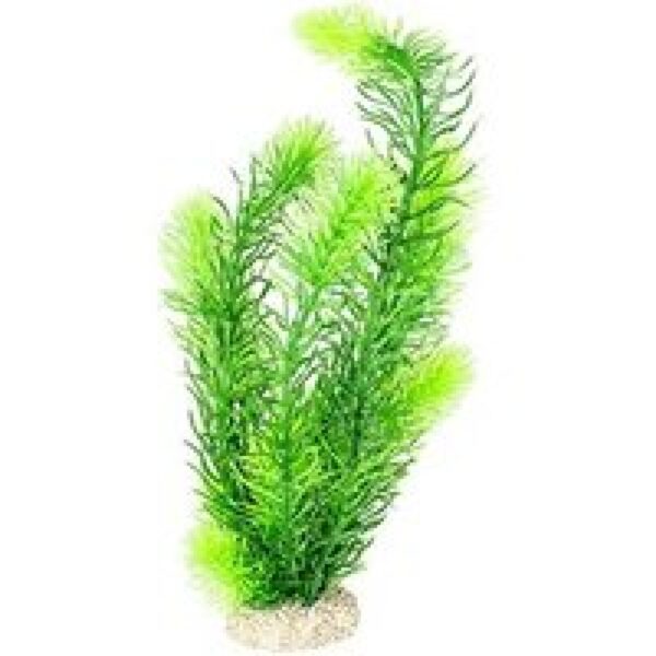 Aqua D'ella Plant hornwort Donkergroen L