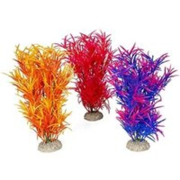 Aqua D'ella Plant hydrilla assorti