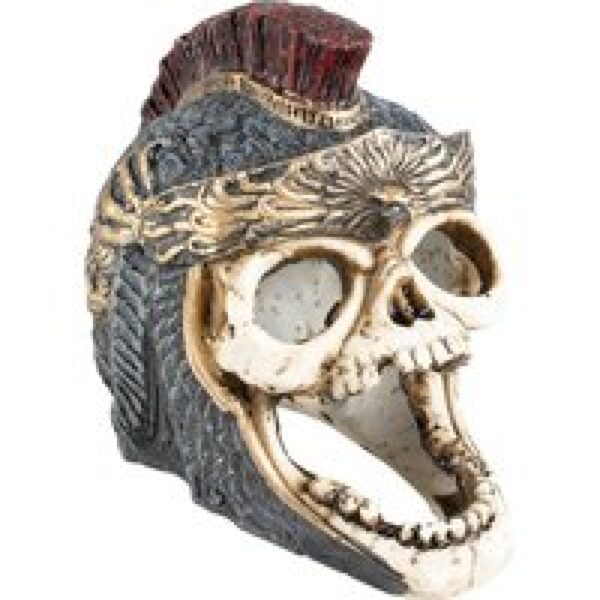 Aqua D'ella Romeins doodshoofd L