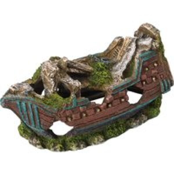 Aqua D'ella Scheepswrak met mos