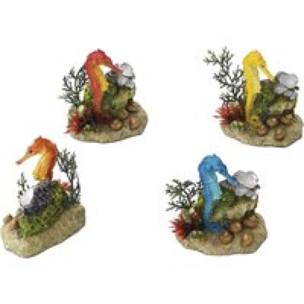 Aqua D'ella Zeepaard met plant