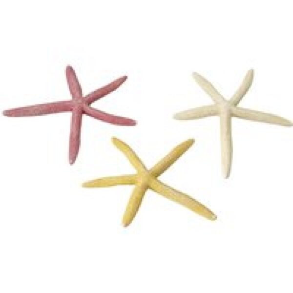 Aqua D'ella Zeesterren S