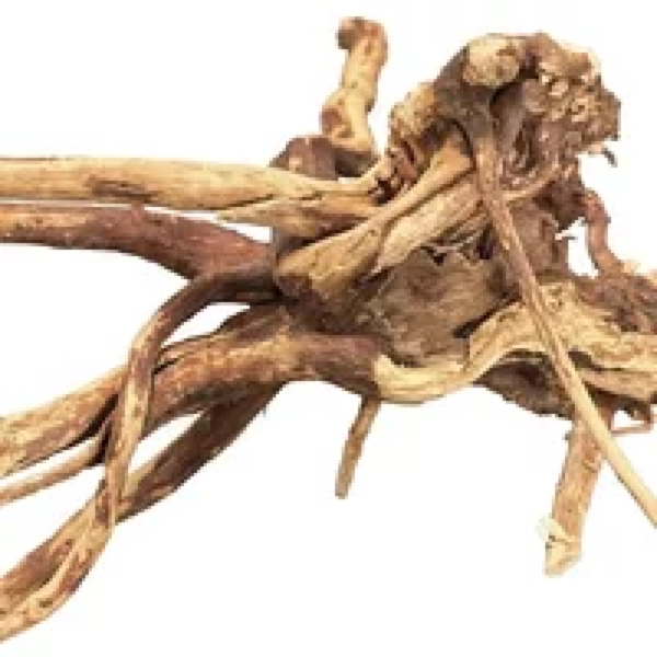 BIOART Spider Wood 10-15CM