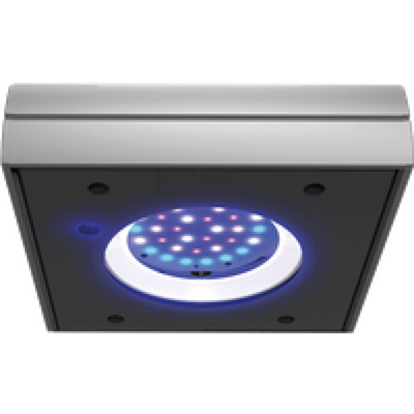 Blue Marine ProLED 90