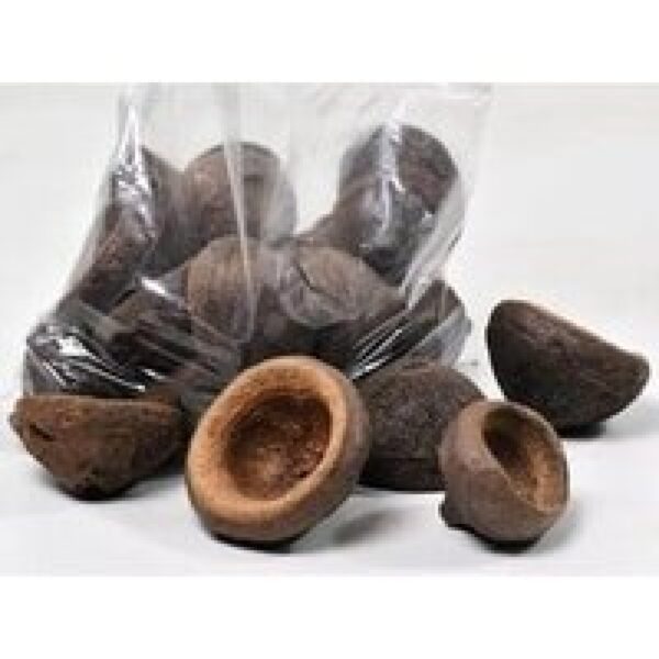 CeramicNature Chapeuzinho Pod 5-10cm natuurlijke zaadhouder en schuilplaats voor aquarium en terrarium 7-12 cm