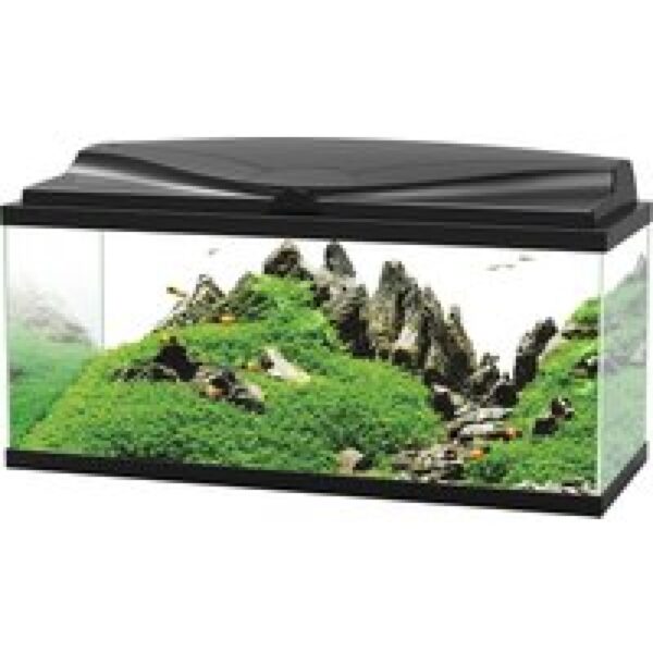 Ciano 80 LED CF80 | 74L | 80 x 30 x 41,5CM Zwart Aquarium Complete set