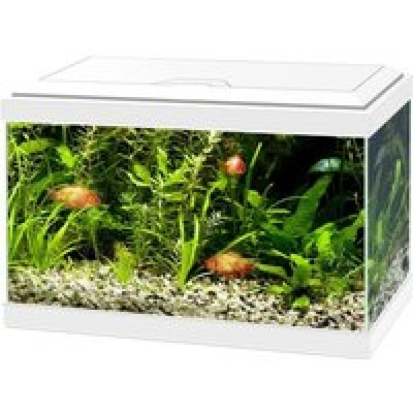Ciano Aqua 20 LED | 17L | 40 x 20 x 26CM Wit Aquarium Geleverd met kap, verlichting en filter