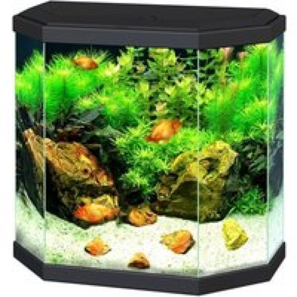 Ciano Aqua 30 LED | 25L | 40 x 20 x 45,5CM Zwart Aquarium Geleverd met kap, verlichting en filter