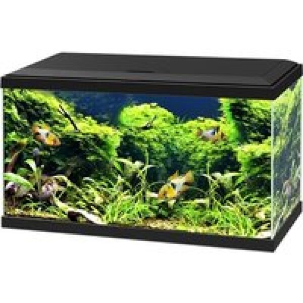 Ciano Aqua 60 LED CF150 | 58L | 60 x 30 x 33CM Zwart Aquarium Complete set, alles meegeleverd