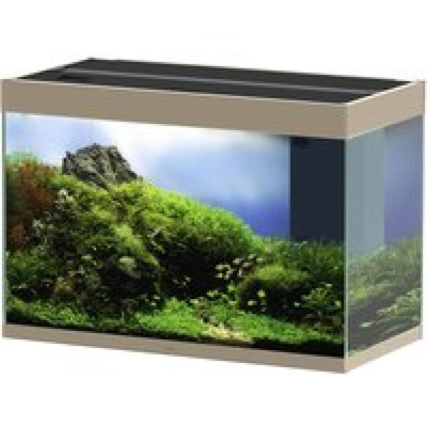 Ciano Emotions pro 80 | 145L | 81,2 x 40,2 x 56CM Mystic Aquarium