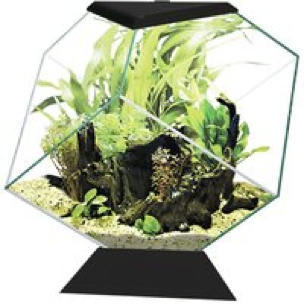 Ciano Nexus 14C | 14L | 35,4 x 41,8 x 36,8CM Zwart Aquarium Met deksel en voet