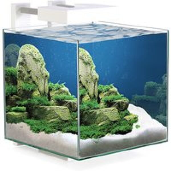 Ciano Nexus Pure 15 LED | 14L | 25 x 25 x 31,5CM Aquarium