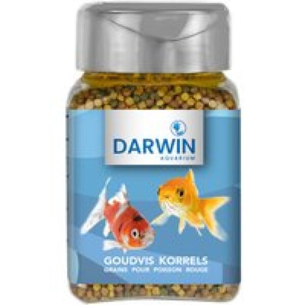 Darwin Goudvis korrels 100ML