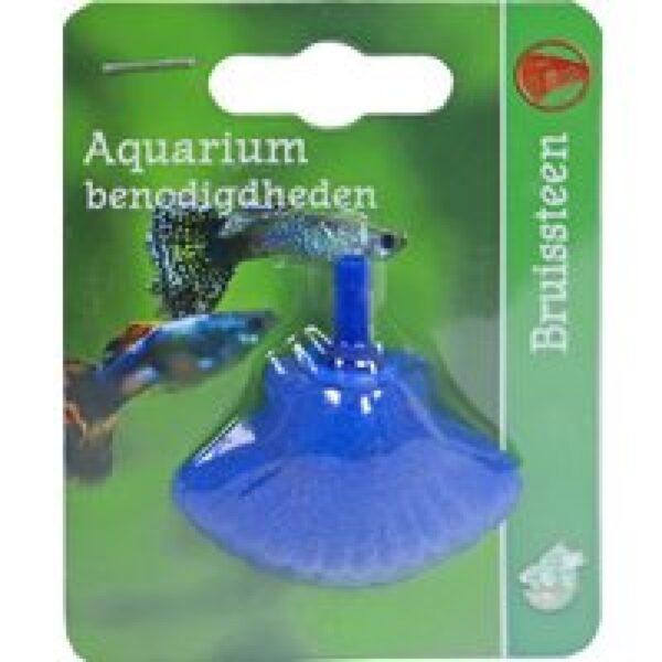 De Boon Bruissteen Schelp 4,5CM Op Blister