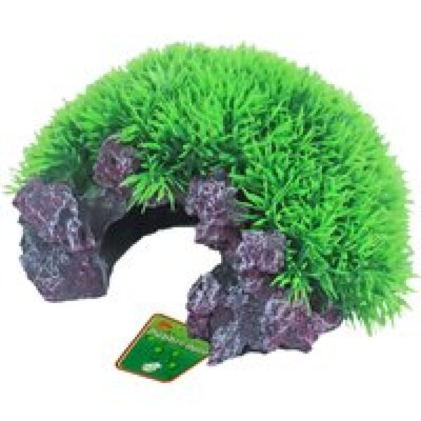 De Boon Green Mossrots + Uitstromer