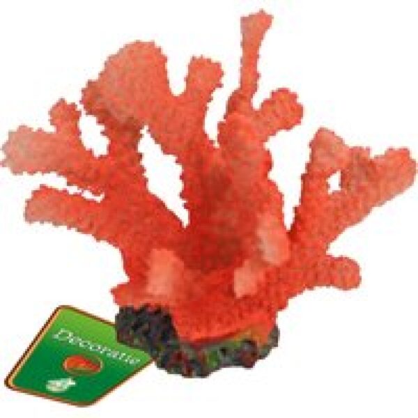 De Boon Rode Bloem 13X10CM