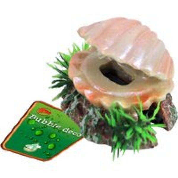 De Boon Schelp Met Uitstromer 5,5CM