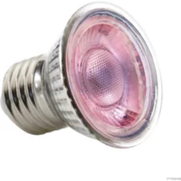 Exo Terra Daylight LED Spot NANO 5W | Energiezuinige daglichtlamp voor kleine terraria