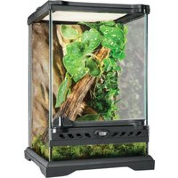 Exo Terra Glasterrarium Natural Terrarium Nano Tall 20 × 20 × 30 cm voor reptielen en amfibieën 20 x 20 x 30 cm