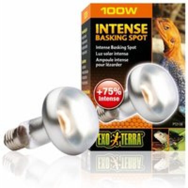 Exo Terra Intense Basking Spot 25 W | 50 W | 75 W | 100 W | 150 W – 35 % meer licht en warmte 100W/R25