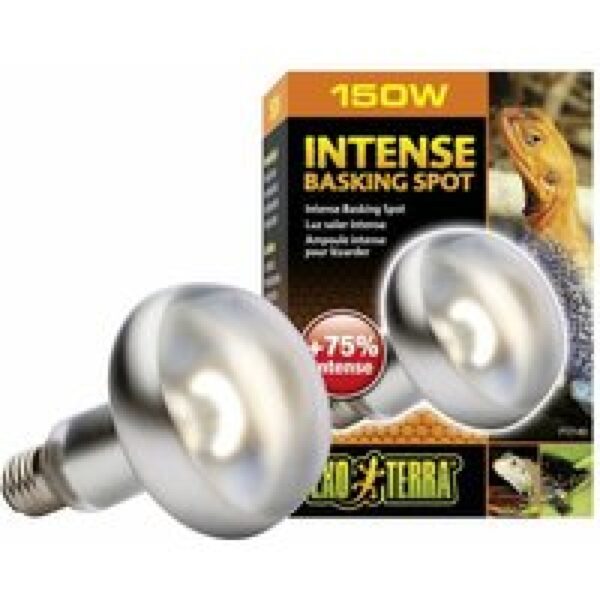 Exo Terra Intense Basking Spot 25 W | 50 W | 75 W | 100 W | 150 W – 35 % meer licht en warmte 150W/R30