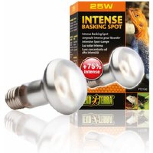 Exo Terra Intense Basking Spot 25 W | 50 W | 75 W | 100 W | 150 W – 35 % meer licht en warmte 25W