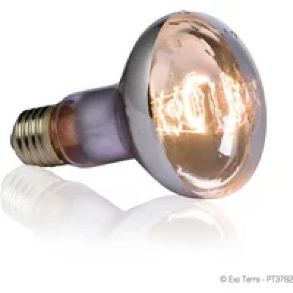 Exo Terra Spatbestendige zonneplek lamp Swamp Basking Spot – voor aquatische & vochtige terraria – 50W | 75W | 100W 100 Watt