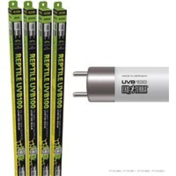 Exo Terra T5 UVB100 VHO 54W | 115 cm | UV-lamp met UVA | D3-ondersteuning