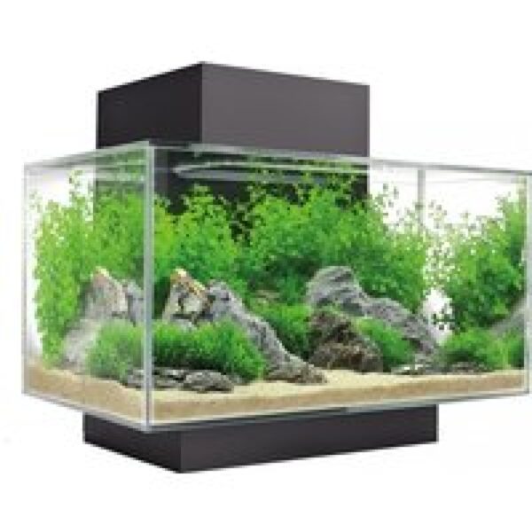 Fluval Edge I 2.0| 23L | 43 x 26 x 36,8CM Aquarium Geleverd met houder, filter en verlichting