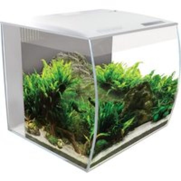 Fluval Flex | 34L | 35 x 33 x 33CM Wit Aquarium Complete set